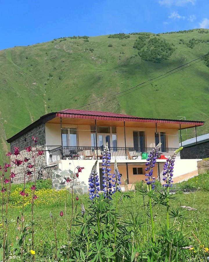 Cozy Hotel Kazbegi Exterior foto